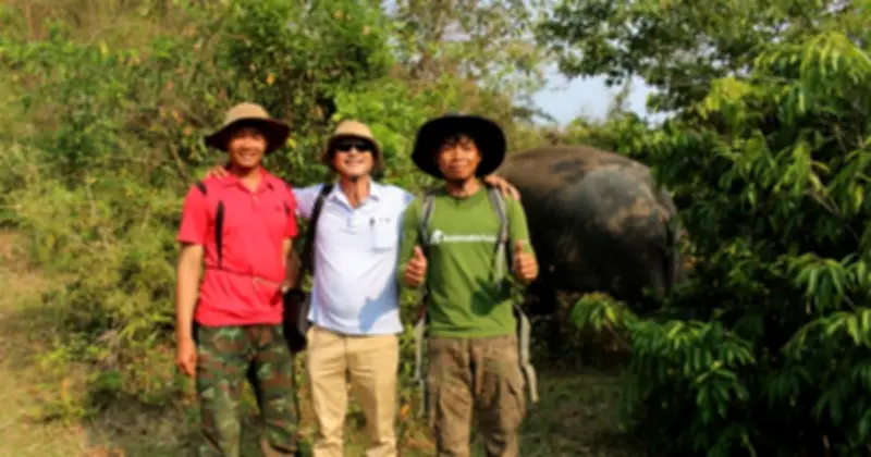 Hành trình tìm lại tự do của voi Ban Nang và Ana Tuk giữa đại ngàn Tây Nguyên