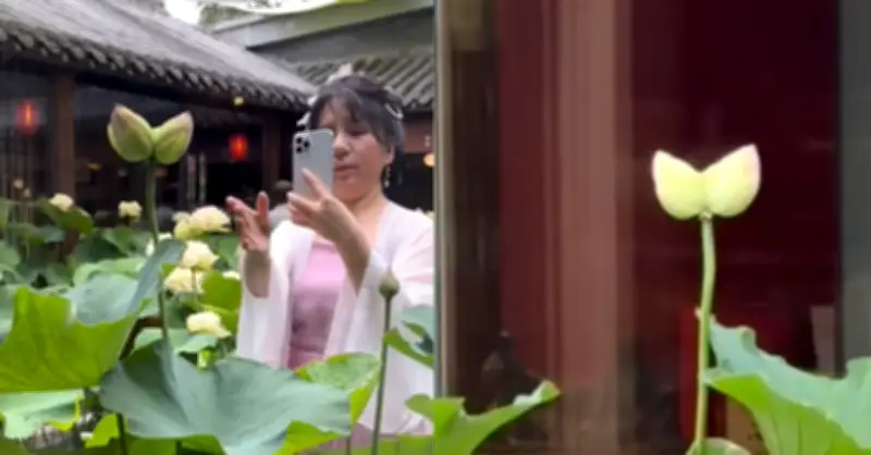 Hoa sen song sinh hiếm thấy nở trong quán trà, nhiều người tới chiêm ngưỡng
