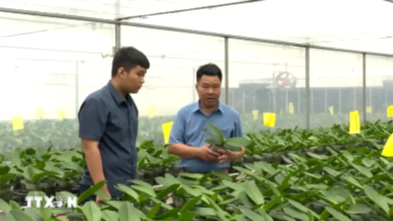 Đại hội IX Hội Nông dân Việt Nam: Xây dựng nền nông nghiệp hiện đại, thân thiện
