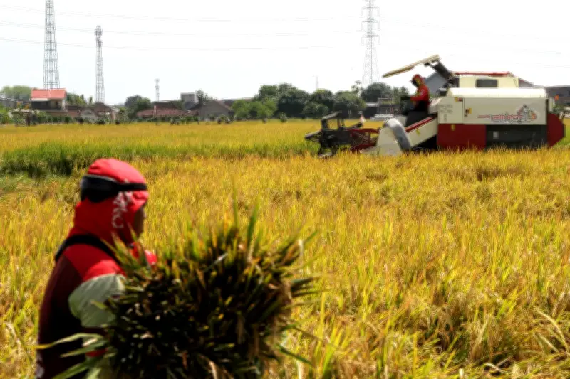 Indonesia tạo đòn bẩy ảnh hưởng giữa biến động toàn cầu