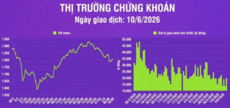Infographic chứng khoán ngày 10/6: VN-Index tăng 10,66 điểm, khối lượng giao dịch khớp lệnh tăng 83%