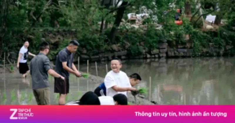 Jack Ma cùng lãnh đạo Alibaba trồng lúa giữa lúc tập đoàn tăng tốc AI