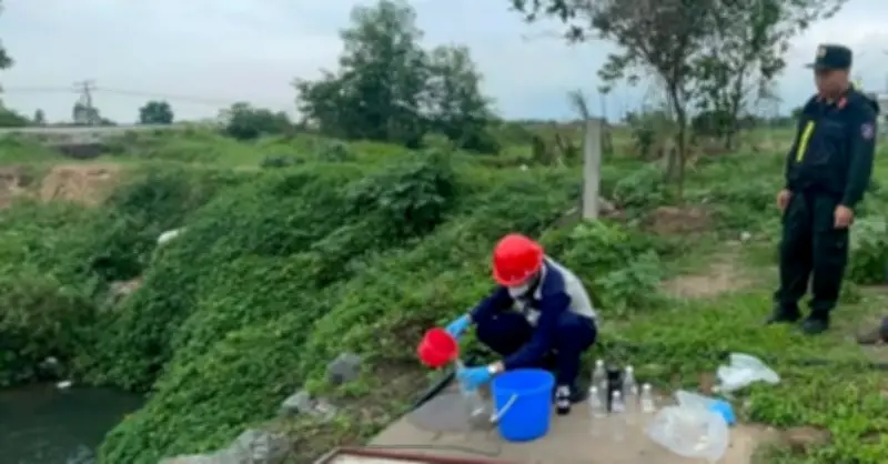 Khởi tố giám đốc công ty và viện trưởng vì tiếp tay cho doanh nghiệp vi phạm