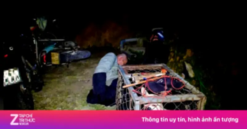 Khởi tố nhóm đối tượng trộm hơn 2 tấn chó ở Đà Lạt