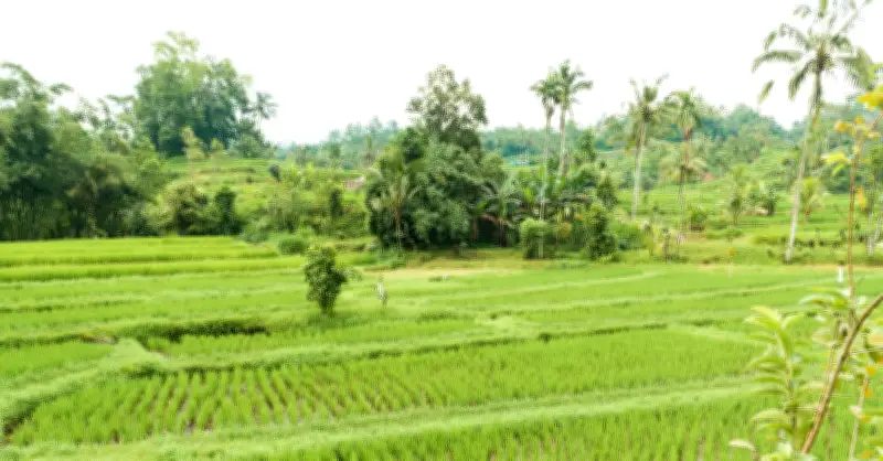 Khi trẻ nghỉ hè: Niềm vui và nỗi lo của gia đình hiện đại
