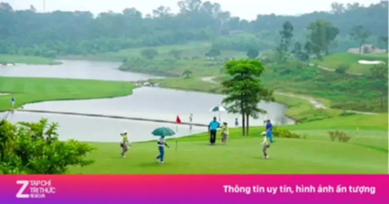 Khiển trách, cách chức trưởng phòng vì chơi golf trong giờ làm việc