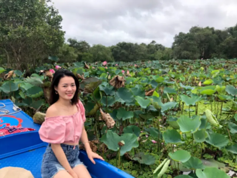 Khám phá rừng tràm Trà Sư: Bản giao hưởng xanh giữa miền Tây mùa nước nổi