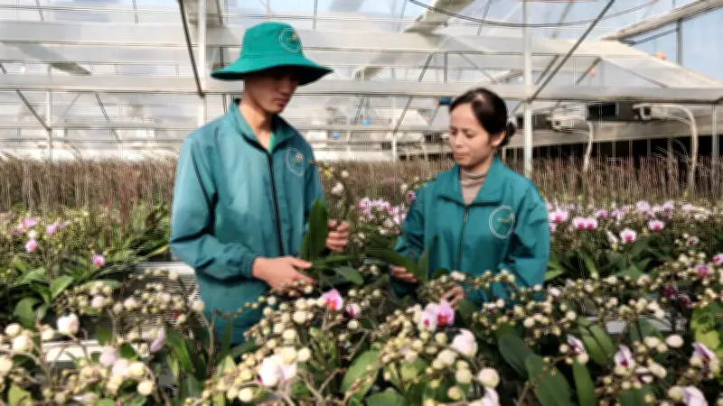 Khoa học công nghệ là động lực trung tâm thúc đẩy tăng trưởng kinh tế