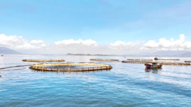 Kinh tế biển Việt Nam chuyển mình mạnh mẽ sau 8 năm thực hiện Nghị quyết 36