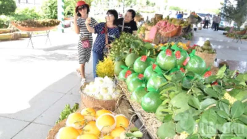 Lễ hội trái cây Đồng Tháp lần thứ I năm 2026: Tôn vinh miền trái ngọt