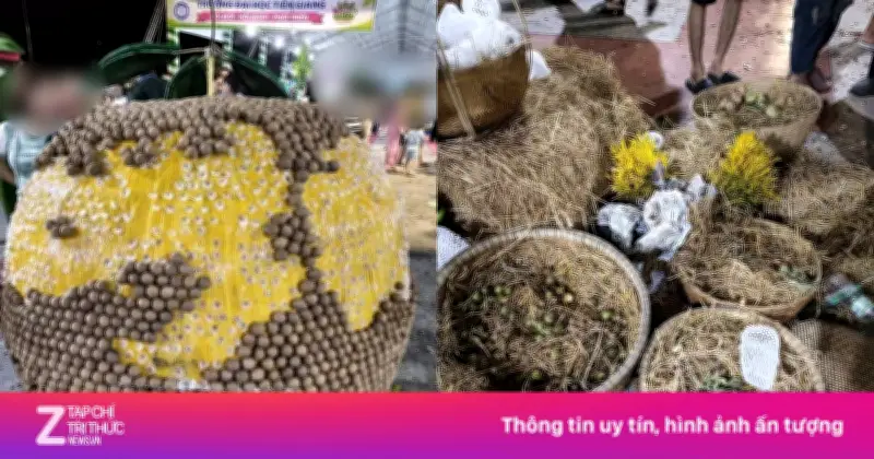 Lễ hội trái cây Đồng Tháp 'vỡ trận': Tiểu cảnh bị lấy mất trái cây