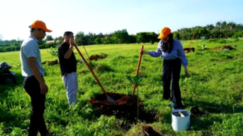 Lễ phát động du lịch xanh tại Phú Quý: Trồng cây, thu gom rác, giảm nhựa