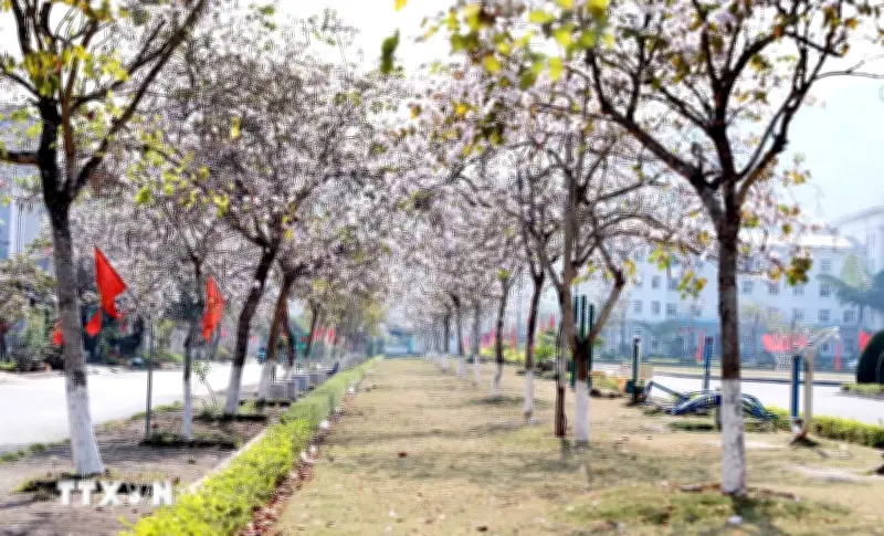 Lai Châu triển khai chương trình kích cầu tạo đà bứt phá cho du lịch xanh