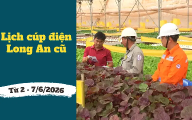 Lịch cúp điện Tây Ninh, Long An từ ngày 2-7/6/2026: Danh sách khu dân cư và tuyến đường bị mất điện xếp hàng dài