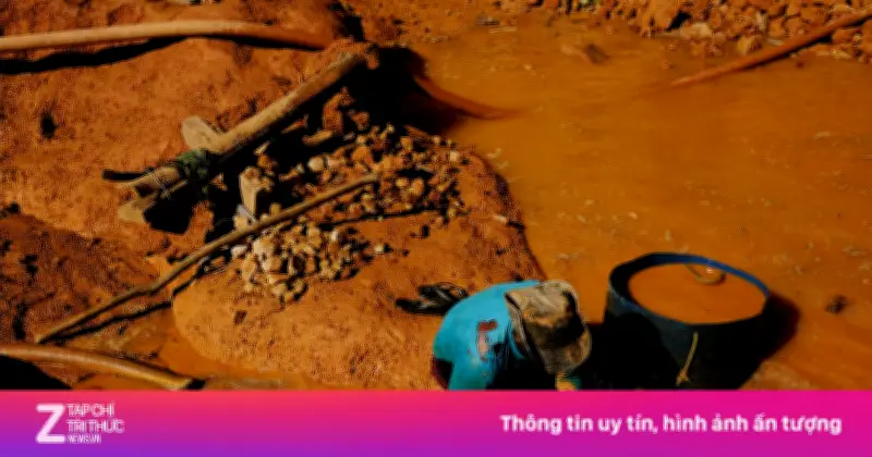Lịch sử bí mật của vàng: Cơn sốt vàng Brazil và dòng chảy toàn cầu