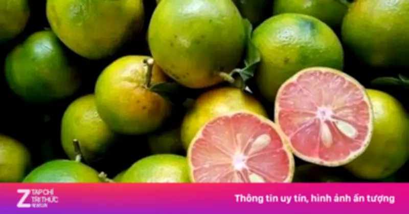 Lợi ích sức khỏe từ chanh đào và những lưu ý khi dùng