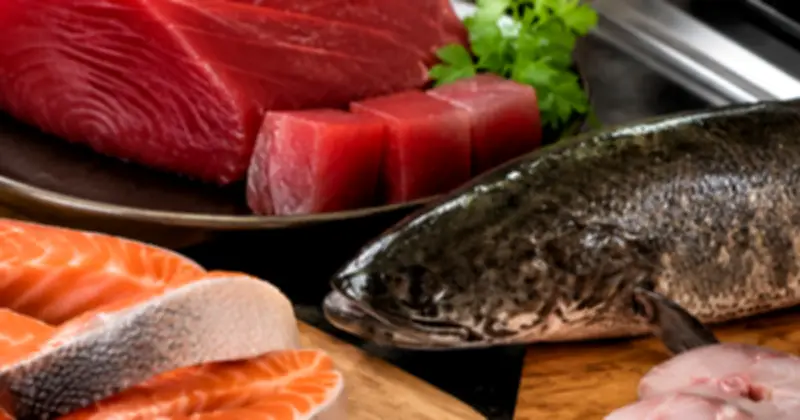 Lợi ích sức khỏe tuyệt vời của cá đối với người lớn tuổi