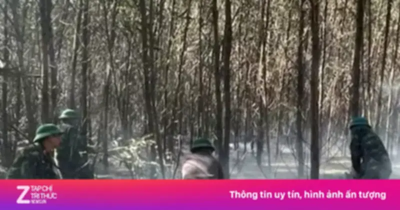 Liên tiếp cháy rừng tại Quảng Trị trong nắng nóng gay gắt