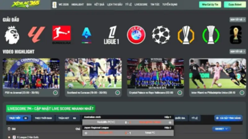 Livestream bóng đá lậu và cá độ online: Hệ sinh thái khó triệt phá