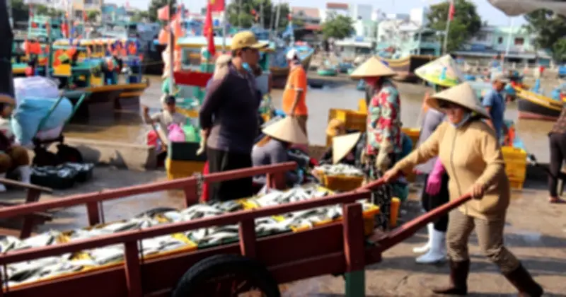 Lâm Đồng tiến ra biển lớn: Ngư dân ngàn đời bám biển, kinh tế biển vươn khơi