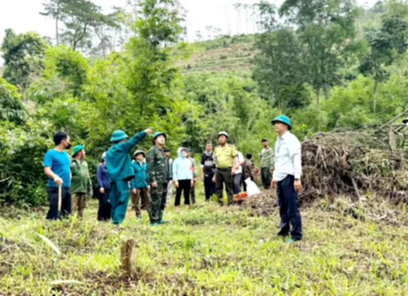 Lâm Đồng triển khai thu hồi đất lâm nghiệp bị lấn chiếm trái phép