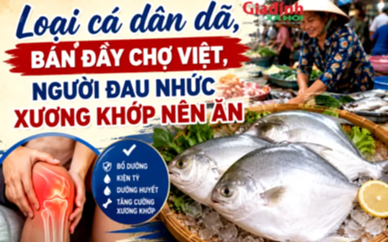 Loại cá giàu canxi giúp giảm đau nhức xương khớp hiệu quả