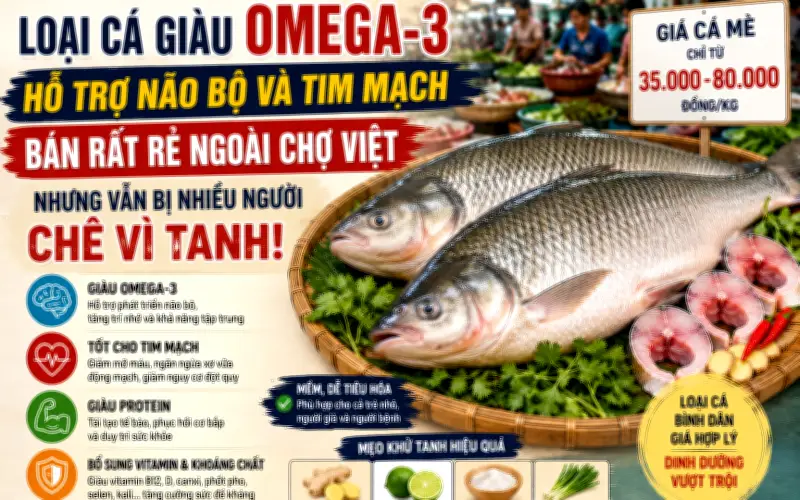 Loại cá giàu omega-3 hỗ trợ não và tim giá rẻ ngoài chợ Việt