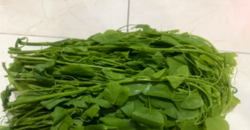Loại rau có cái tên khiến nhiều người ngại nhắc nhưng giàu dinh dưỡng
