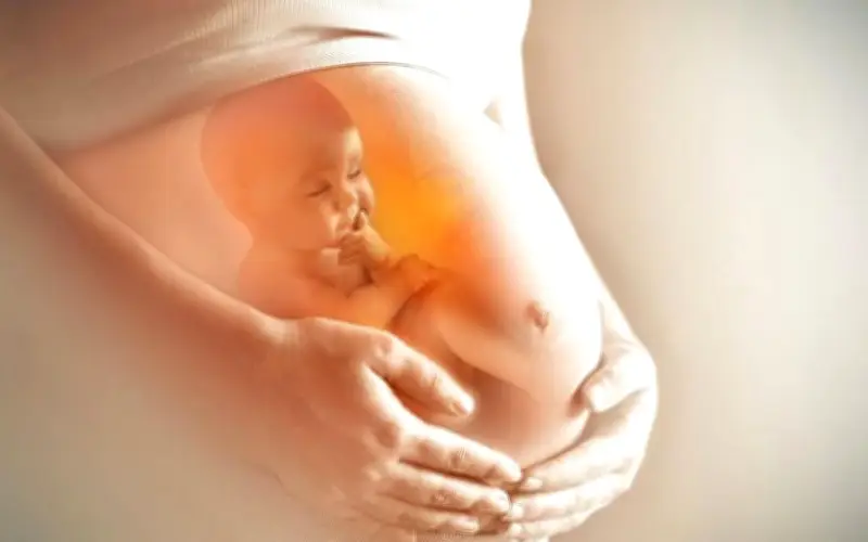 Mẹ 41 tuổi sinh con nhờ trứng hiến sau 12 năm tìm con, 5 năm kiên trì xin trứng