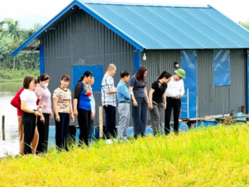 Mô hình 'cánh đồng xanh 3 không' tại Hải Phòng: Hướng đến nông nghiệp bền vững