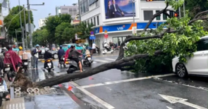 Mưa dông quật ngã cây xanh đè 2 ô tô, phố Tây Bùi Viện ngập sâu ở TPHCM
