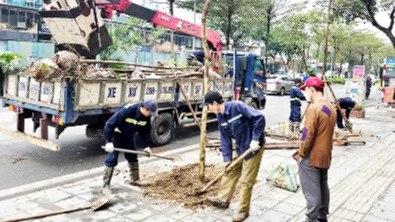 Mùa hè Hà Nội nóng bức: Khoảng trống cây xanh và nỗi lo đô thị