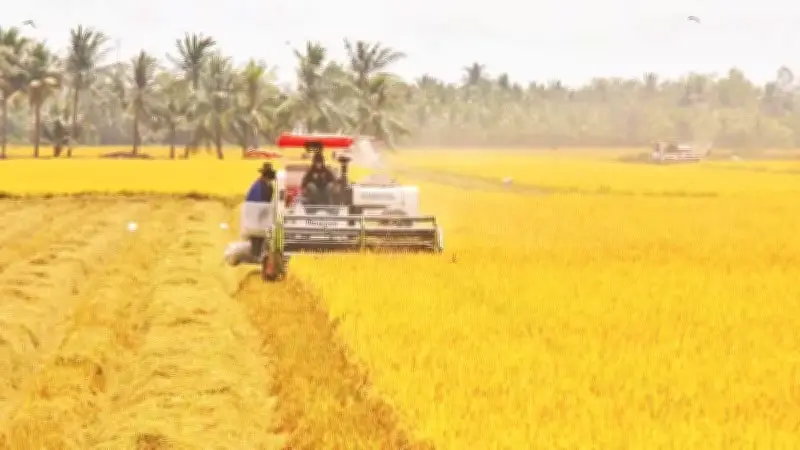 Mục tiêu tăng trưởng nông nghiệp 4-5%: Thách thức và giải pháp đột phá