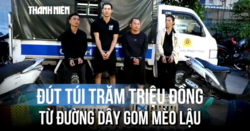 Mỗi ngày gom 50 kg mèo lạu, đút túi hàng trăm triệu đồng chỉ sau vài tháng