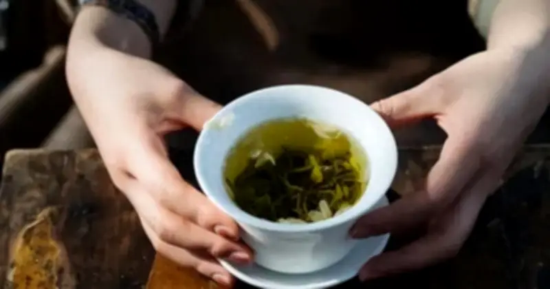Mỗi ngày uống trà xanh: 'Thần dược chống nắng tự nhiên' bổ gan và não
