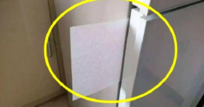 Mẹo kẹp tờ giấy vào tủ lạnh giúp tiết kiệm điện đáng kể