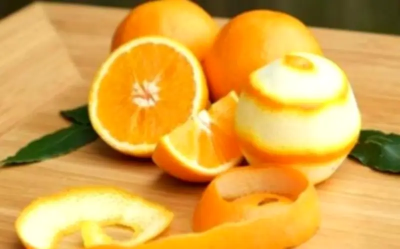 Mẹo tự nhiên đuổi ruồi, kiến ra khỏi nhà vĩnh viễn an toàn