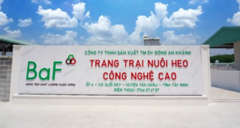 Mua lại 99,99% cổ phần nhưng không thông báo, BAF Việt Nam bị xử phạt
