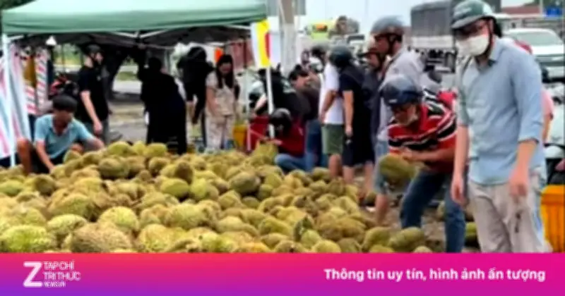 Mua sầu riêng non 'giải cứu' ven đường: Người tiêu dùng lãnh đủ thiệt hại