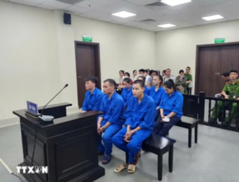 Án phạt nghiêm khắc cho nhóm đối tượng môi giới bán thận