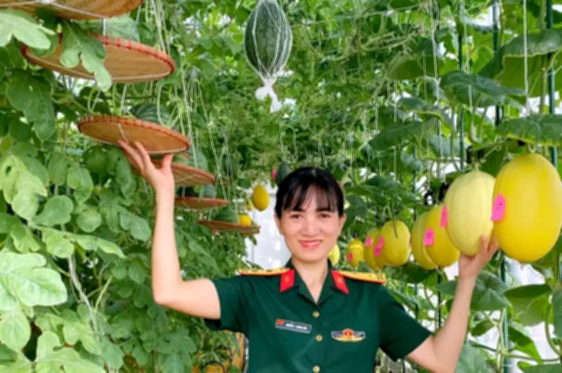 Nữ trung tá Hà Nội biến sân thượng thành vườn dưa trĩu quả