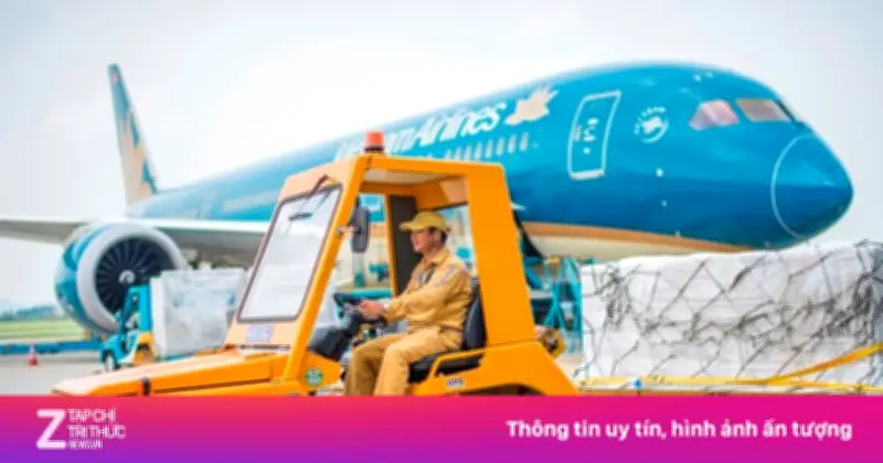 NCTS muốn chia cổ tức 100%, nghiên cứu tham gia sân bay Gia Bình