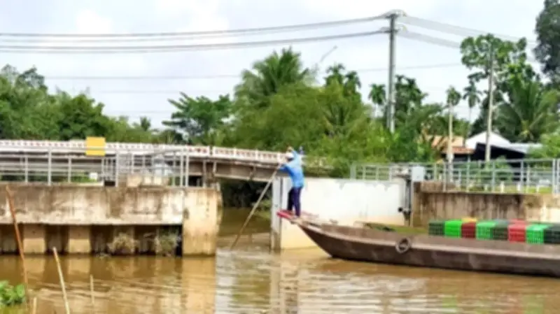 Đồng bằng sông Cửu Long: Hoàn thiện quy hoạch chống sụt lún, sạt lở, ngập úng