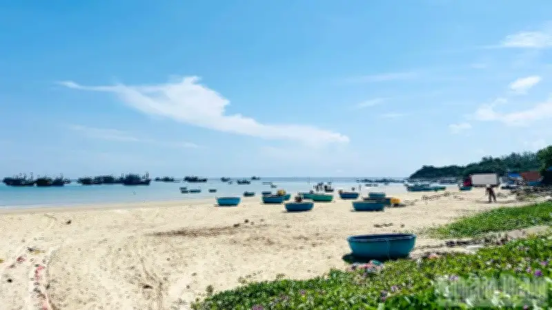 Ngư dân Quảng Ngãi phát hiện kho báu cổ vật dưới biển