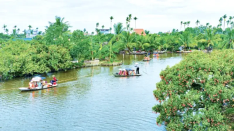 Đồng Mẩn hút khách với du lịch mùa vải chín, Hải Phòng kỳ vọng phát triển tour 'mùa quả chín'