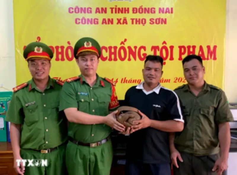 Đồng Nai: Tê tê Java quý hiếm bò vào sân nhà dân