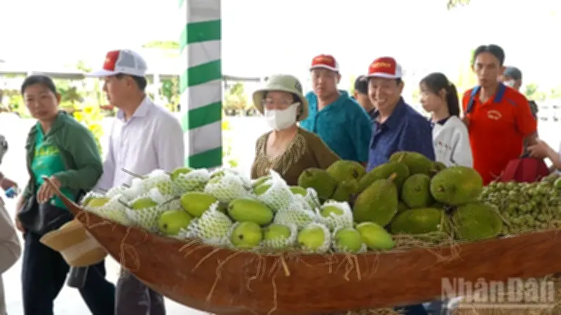 Đồng Tháp khắc phục sự cố trái cây bị lấy tại lễ hội, tăng cường bảo vệ