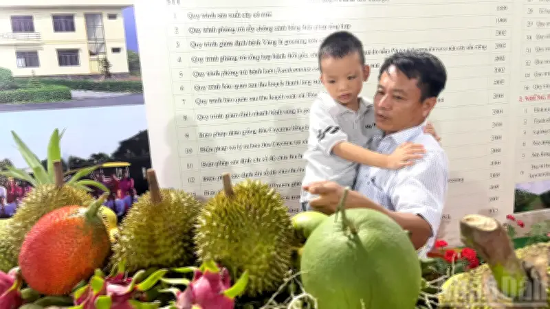 Đồng Tháp lần đầu tổ chức Lễ hội Trái cây năm 2026, tôn vinh đặc sản địa phương