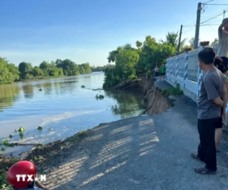 Đồng Tháp: Sạt lở bờ sông Cần Lố khiến tuyến đường dân sinh bị chia cắt