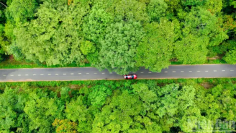 Đường trên cao xuyên rừng Mã Đà dài 13km, 8 làn xe, tốc độ 80km/h